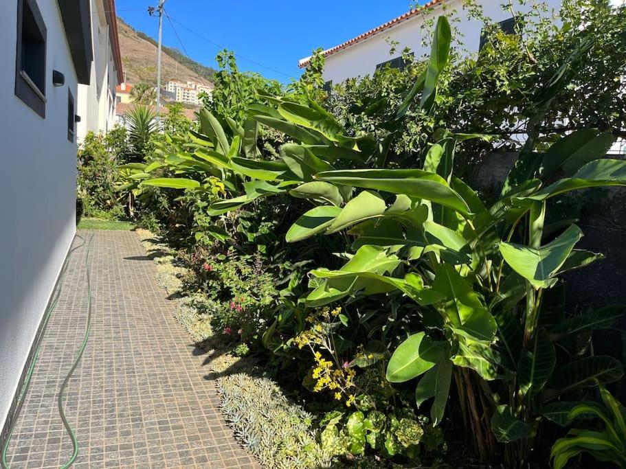 Moradia Com Piscina No Canico Buitenkant foto